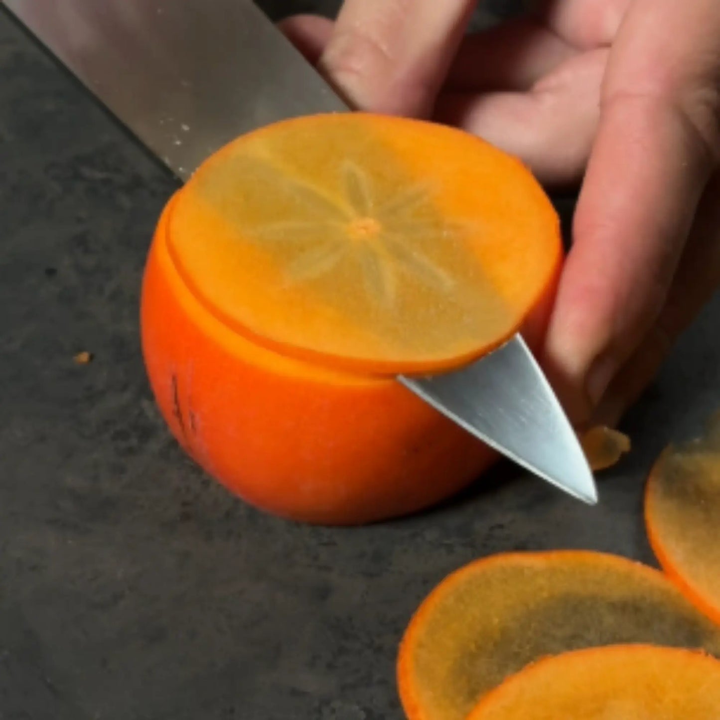 RAVO Rolling Knife Sharpener